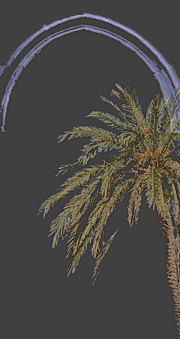 Fotocoulage - Szenen aus Dubai, Oman und Flughafen D&uuml;sseldorf